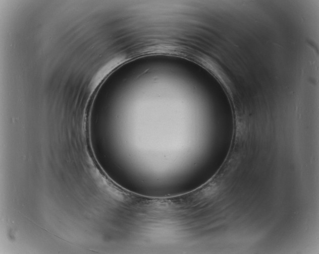 X0000101691050200807101508