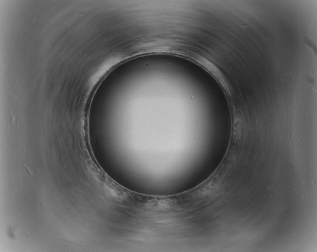 X0000101691051200807101508