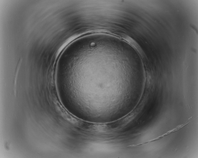 X0000101691052200807101508