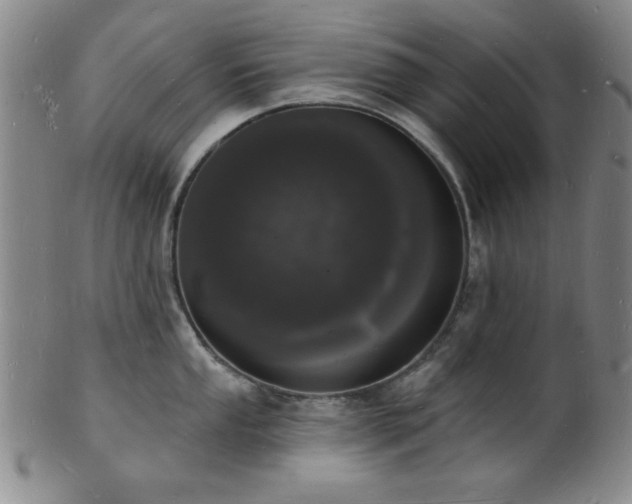 X0000101691053200807101508