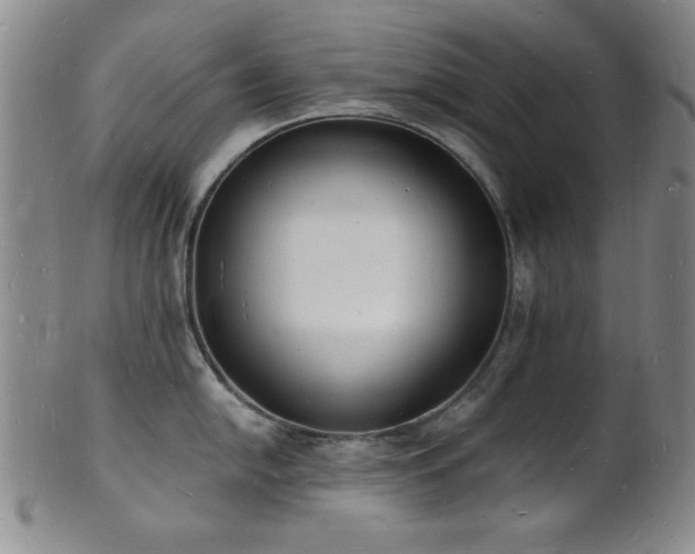 X0000101691054200807101508