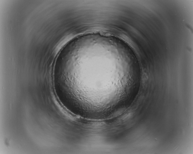 X0000101691055200807101508