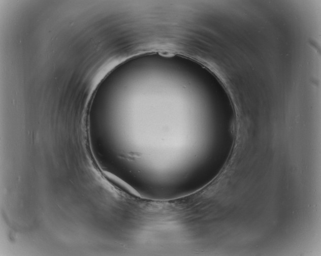 X0000101691056200807101508