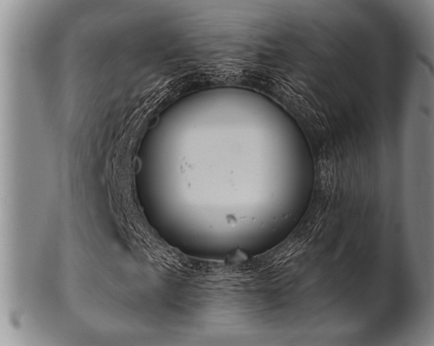 X0000101691057200807101508