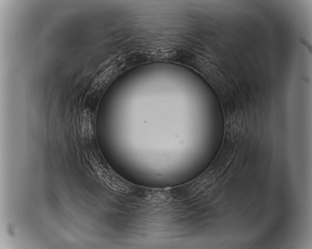 X0000101691058200807101508