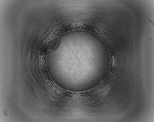 X0000101691059200807101508