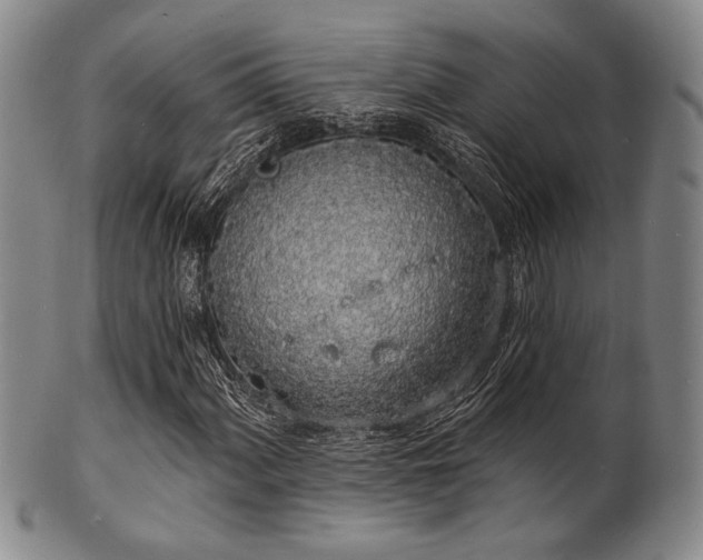 X0000101691060200807101508