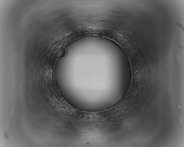 X0000101691061200807101508