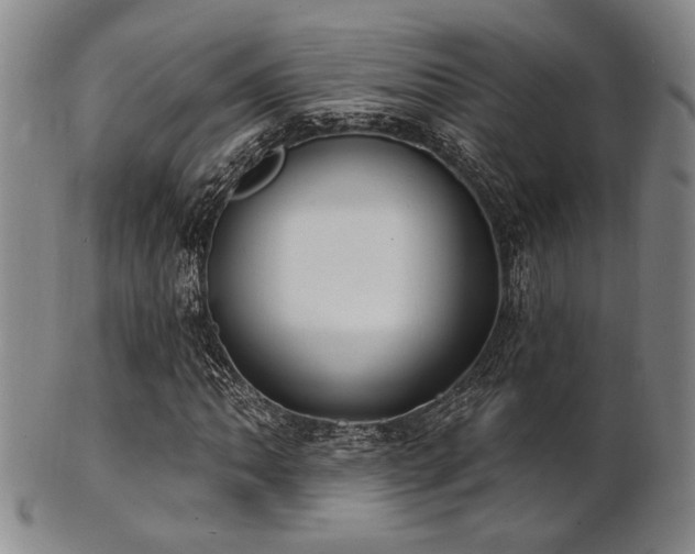 X0000101691062200807101508