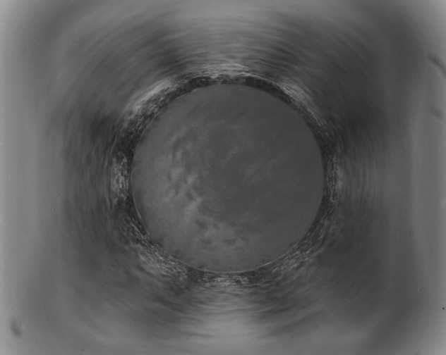 X0000101691063200807101508