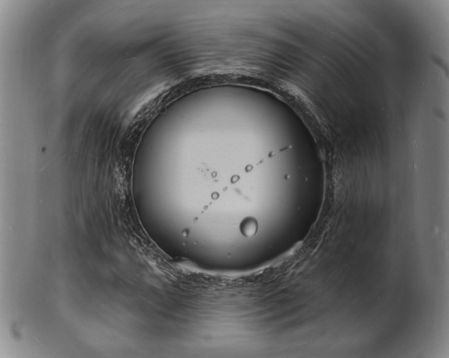 X0000101691064200807101508