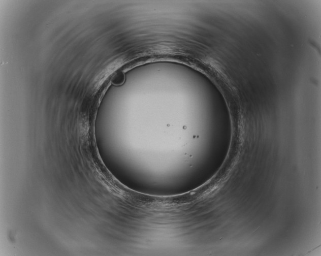 X0000101691065200807101508