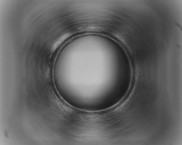 X0000101691066200807101508