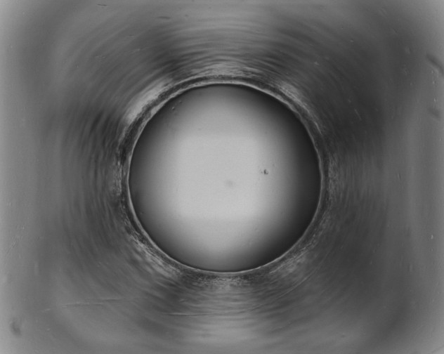 X0000101691067200807101507