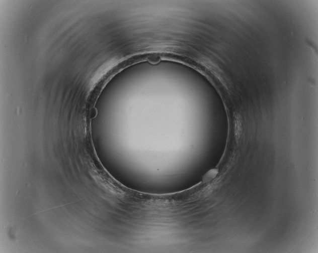 X0000101691069200807101507