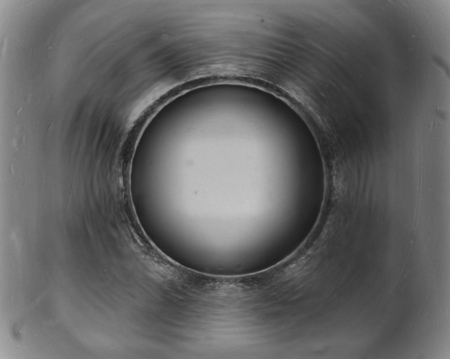 X0000101691070200807101507