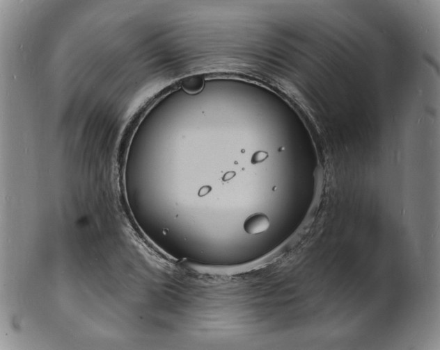 X0000101691072200807101507