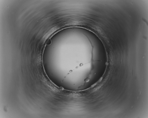 X0000101691073200807101507