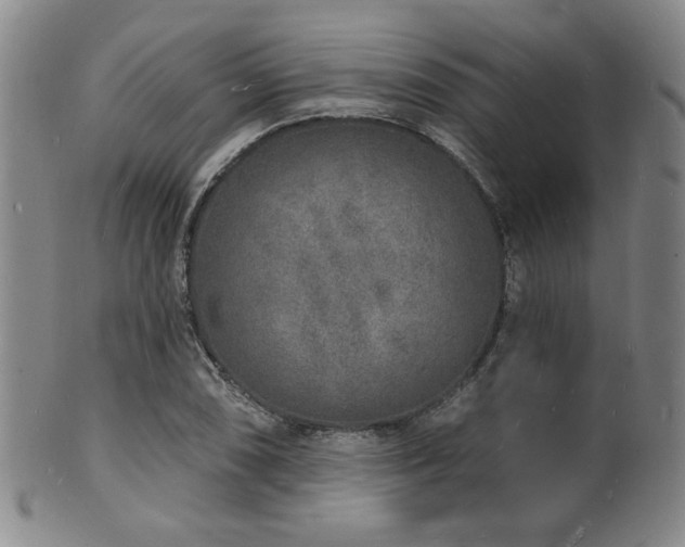 X0000101691074200807101507