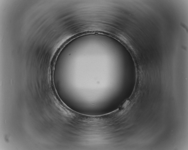 X0000101691076200807101507