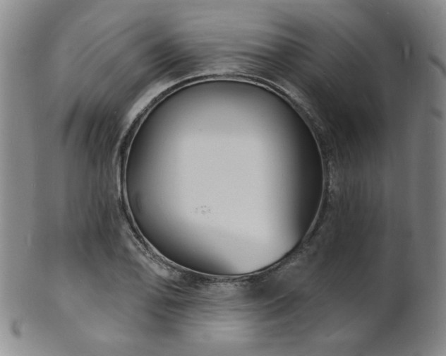 X0000101691078200807101507