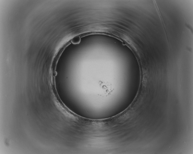 X0000101691080200807101507