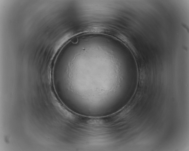 X0000101691083200807101507