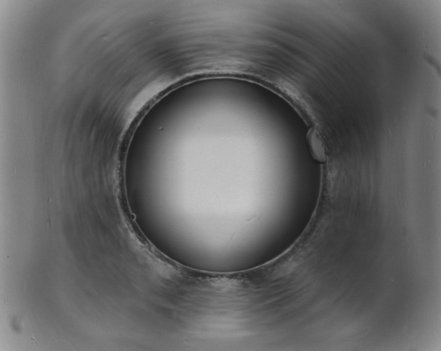 X0000101691085200807101507