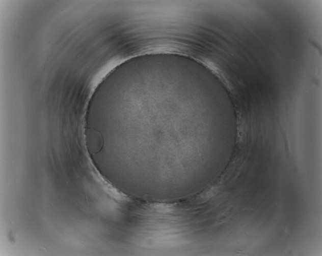 X0000101691086200807101507