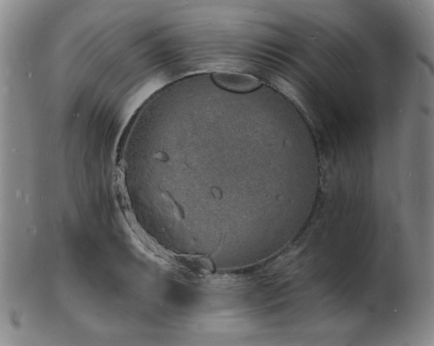 X0000101691087200807101507