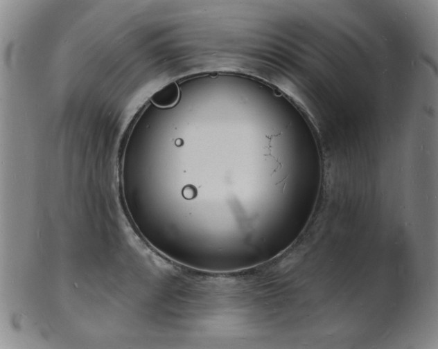 X0000101691088200807101507