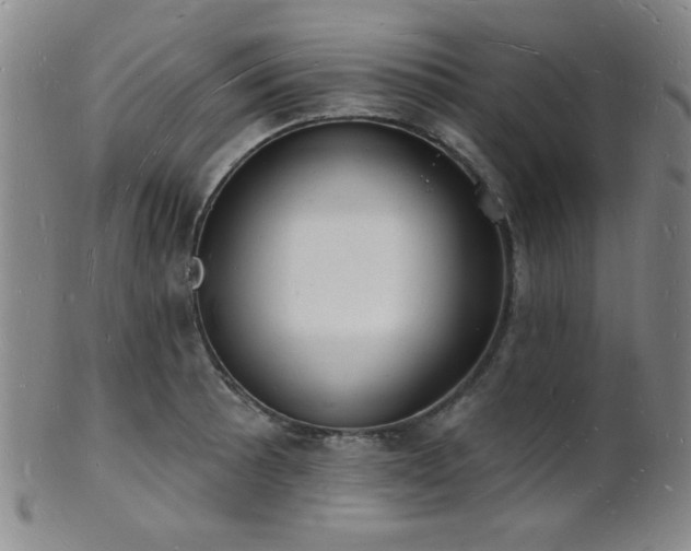 X0000101691089200807101507