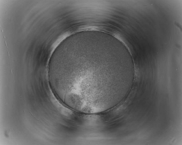 X0000101691090200807101507