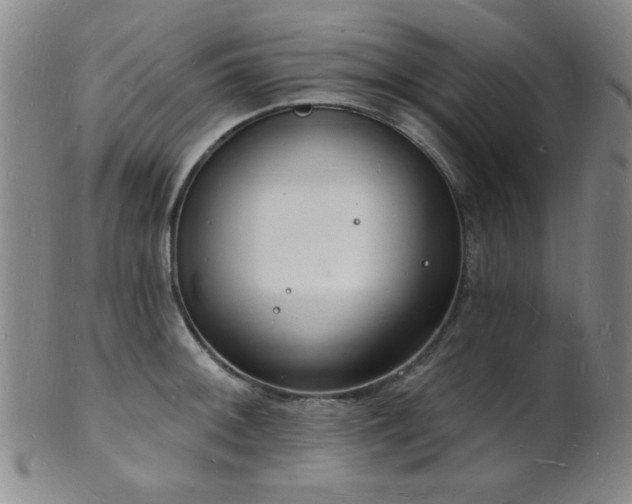 X0000101691092200807101507