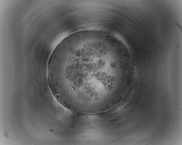 X0000101691095200807101507