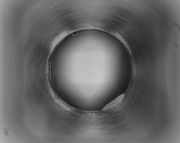 X0000101691096200807101507