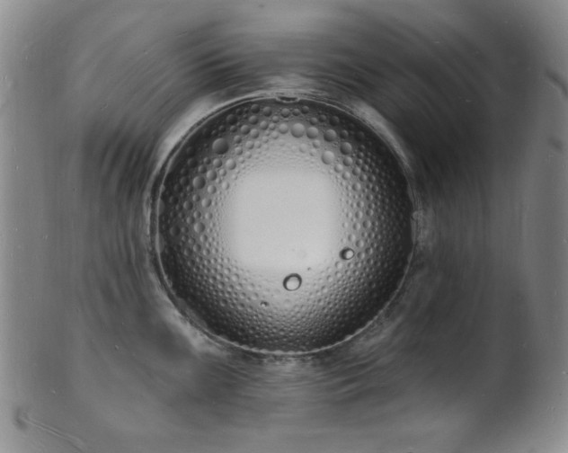 X0000101691099200807101507