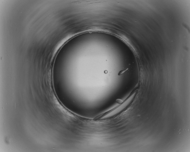 X0000101691100200807101507