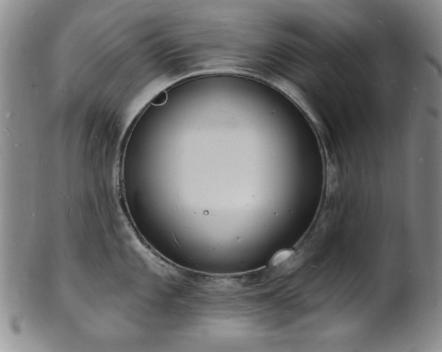 X0000101691101200807101507