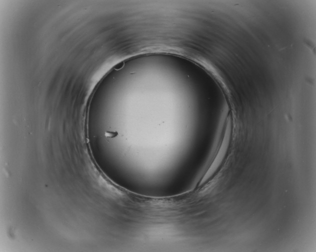 X0000101691102200807101507