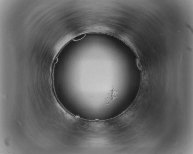 X0000101691103200807101507