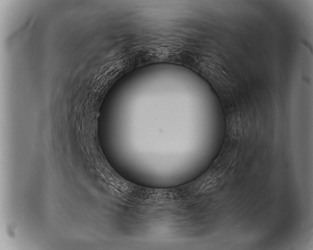 X0000101691105200807101506