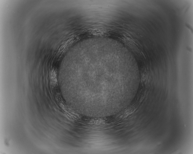 X0000101691106200807101506