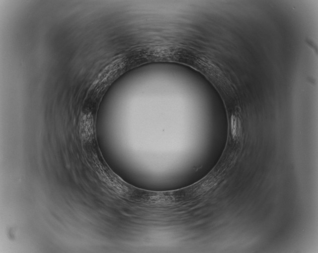 X0000101691107200807101506