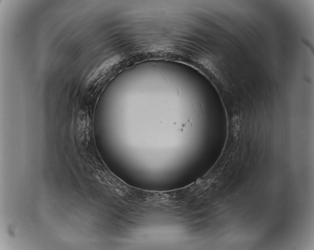 X0000101691111200807101506