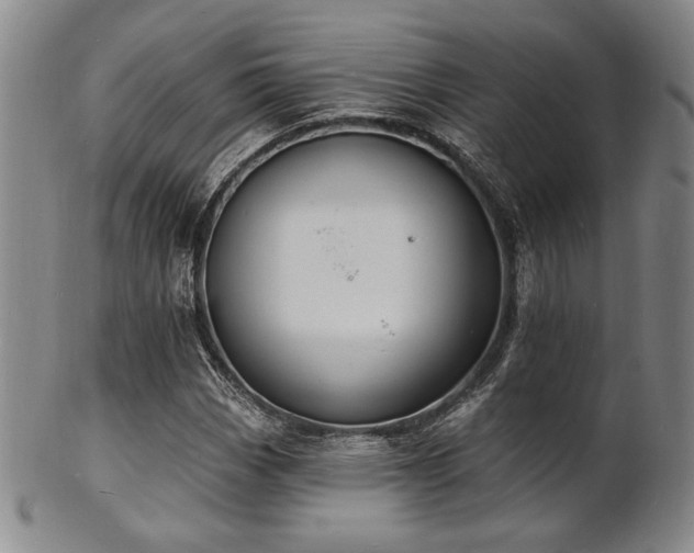 X0000101691113200807101506