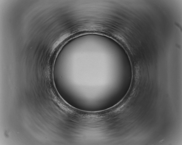 X0000101691114200807101506