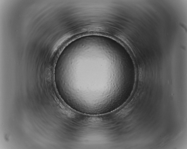 X0000101691115200807101506