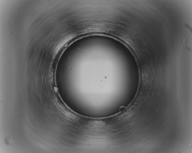 X0000101691119200807101506