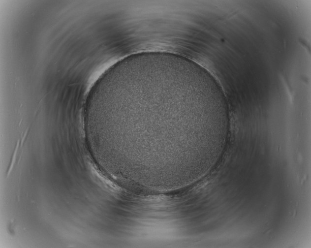 X0000101691120200807101506